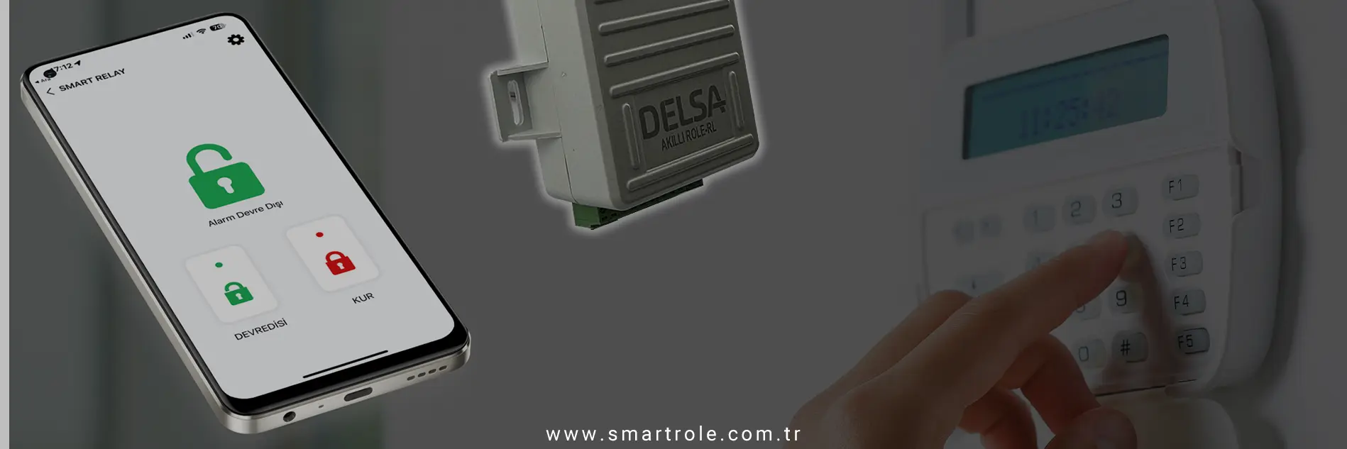 DSC alarm network modülü